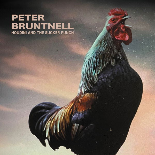 Productafbeelding 1